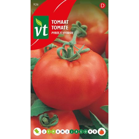 Pyros F1 Tomato - Tomaat Pyros F1 Hybride