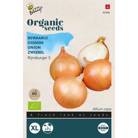 Buzzy Organic Onion Rijnsburger 5 - Bio