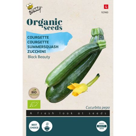 Black Beauty Courgette (Black Beauty Zucchini) - Buzzy Organic Courgette Black Beauty (BIO)