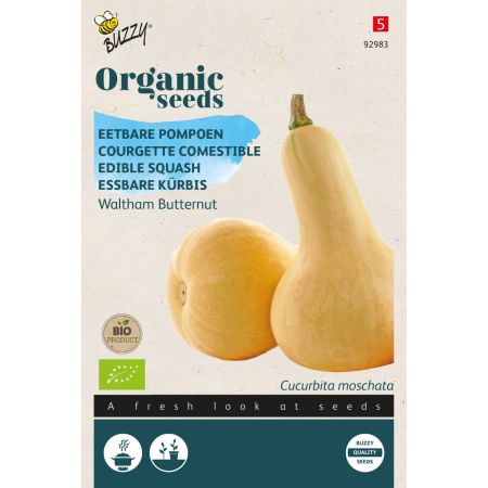 Waltham Butternut Squash (Butternut Squash) - Buzzy Organic Eetbare Pompoen Waltham Butternut  (BIO)