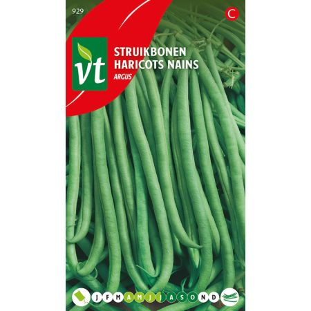 Argus Bush Bean (Bush Bean 'Argus') - Boon Struikbonen Argus