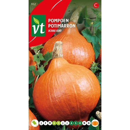 Red Kuri Squash (Hokkaido Squash; Uchiki Kuri) - Pompoen Uchiki Kuri