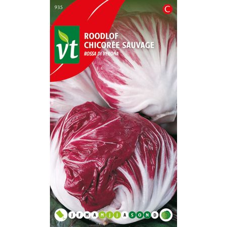 Radicchio (Red Chicory) - Roodlof Rossa di Verona
