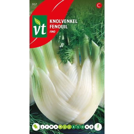Florence Fennel - Knolvenkel Fino