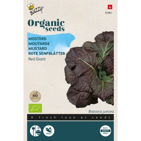 Red Giant Mustard (Mustard Greens) - Buzzy Organic Mosterd Red Giant (BIO)