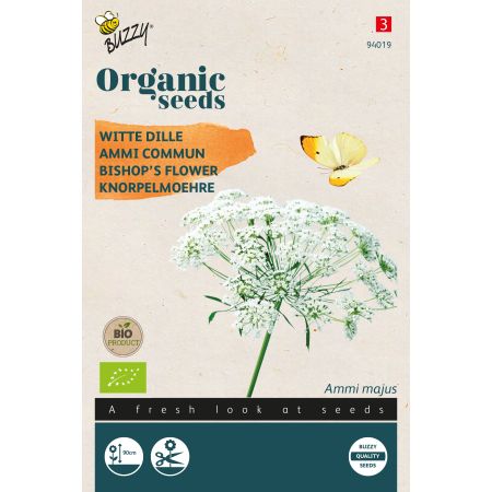 Buzzy Organic Lace flower white dill - Bio