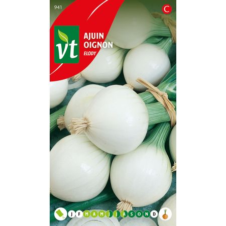 Onion - Ajuin Elody