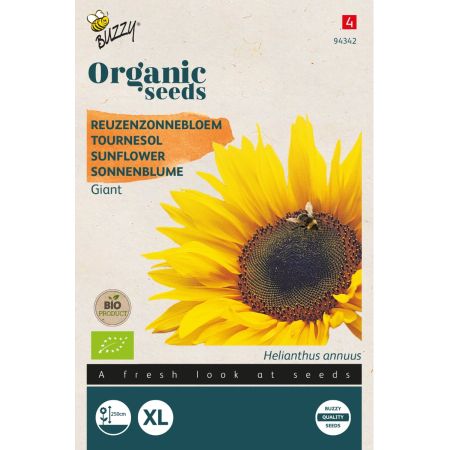Giant Sunflower - Buzzy Organic Helianthus, Reuzenzonnebloem giganteus  (BIO)