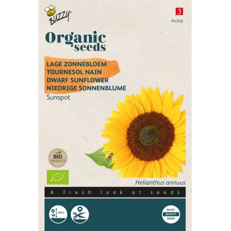 Sunflower (Dwarf Sunflower 'Sunspot') - Buzzy Organic Helianthus, Lage zonnebloem Sunspot (BIO)