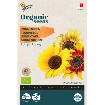 Compact Spray Sunflower (Sunflower) - Buzzy Organic Helianthus, Zonnebloem Compact Spray(BIO)