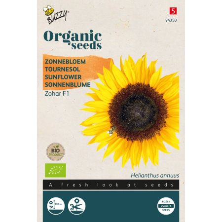 Sunflower (Helianthus; Variety Zohar F1) - Buzzy Organic Helianthus, Zonnebloem Zohar F1 (BIO)