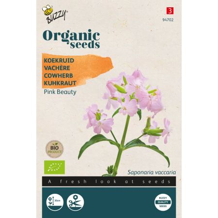 Soapwort (Rock Soapwort) - Buzzy Organic Saponaria, Koekruid Pink Beauty (BIO)