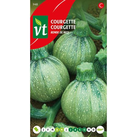 Round Courgette 'De Nice' (Round Zucchini) - Courgette Ronde De Nice