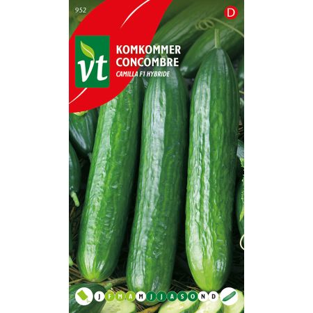 Cucumber - Louisa F1 Hybrid - Komkommer Louisa F1 Hybrid