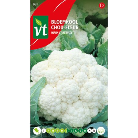 Cauliflower - Bloemkool Novia F1 hybride