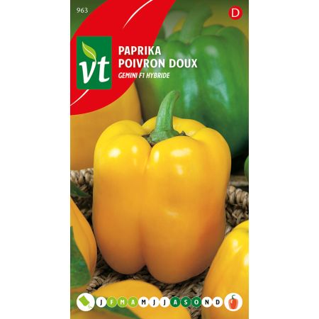 Goldenstar F1 Sweet Pepper (Goldenstar F1 Hybrid Pepper) - Paprika Goldenstar F1 Hybride