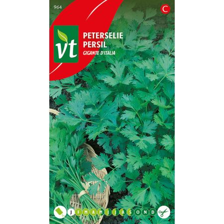 Parsley Giganta D'Italia