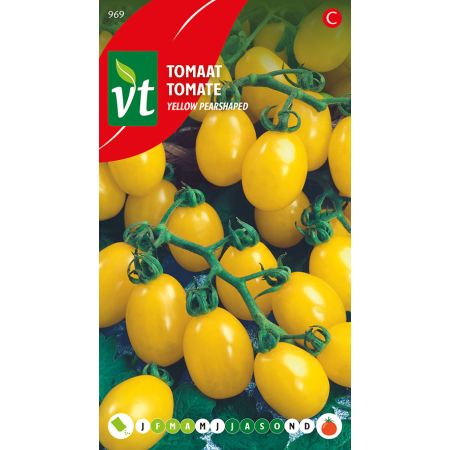 Yellow Pear Tomato - Tomaat Yellow Pearshaped