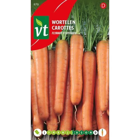 Carrot (Flayaway F1 Hybrid Carrot) - Wortelen Flayaway F1 Hybride