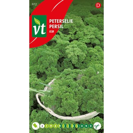 Parsley - Peterselie Ilsa