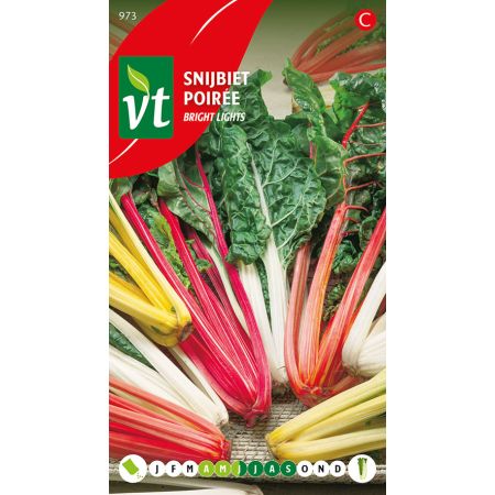 Bright Lights Swiss Chard - Snijbiet Bright Lights