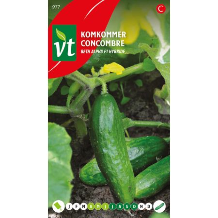 Beth Alpha Cucumber (Mini Cucumber) - Komkommer Mini Beth Alpha F1