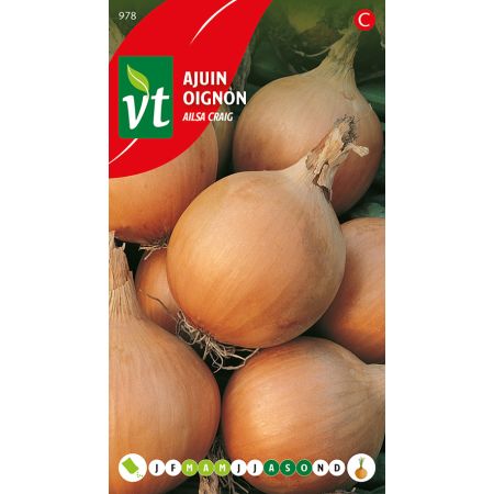 Ailsa Craig Onion - Ajuin Ailsa Craig