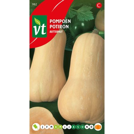 Butternut Squash - Pompoen Butternut
