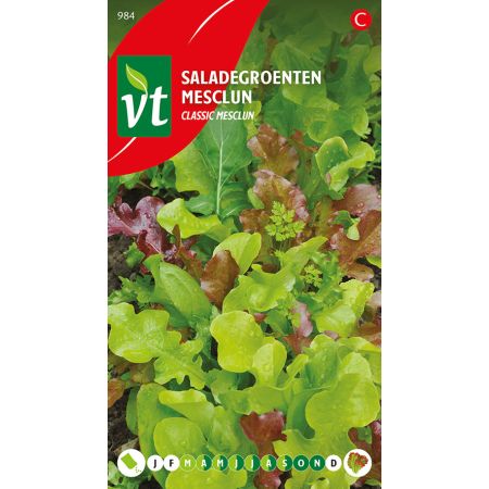 Mesclun (Spring Mix / Salad Greens) - Sla Saladegroenten Classic Mesclun