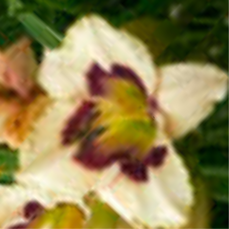 Daylily 'Blueberry Candy'