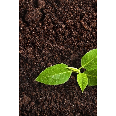 Potting soil Universele Basic 40 l