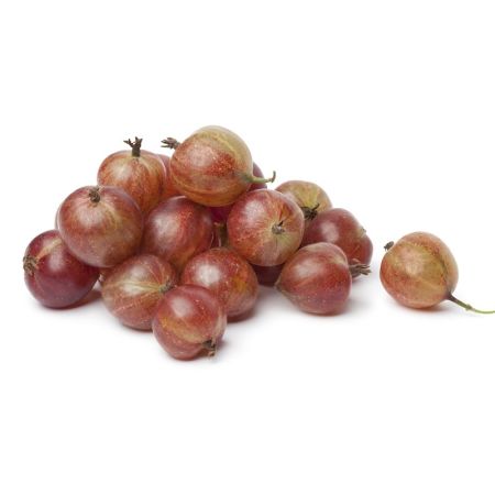 Gooseberry 'Hinnonmaki Röd'